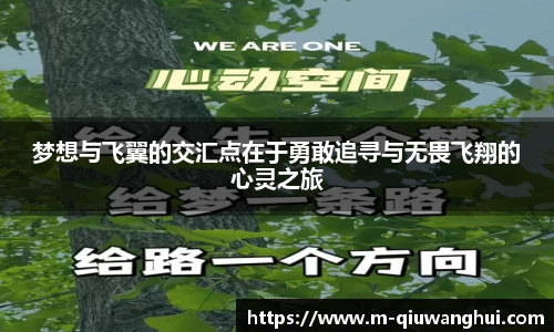 梦想与飞翼的交汇点在于勇敢追寻与无畏飞翔的心灵之旅